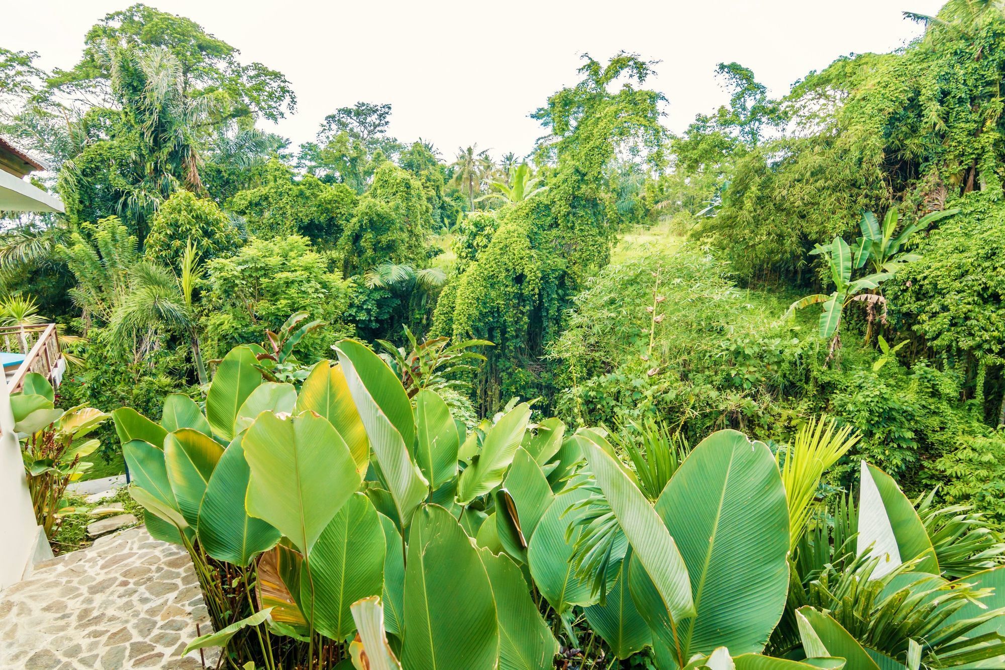 Zen Villa River Side, 1 Bedroom Ubud Exterior foto